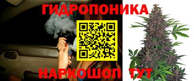 прущие грибы Нягань