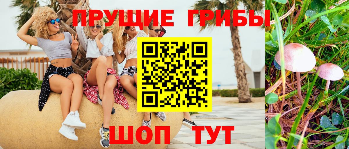 Тамбов  Галлюциногенные грибы Psilocybine cubensis  Вход с VPN  Галлюциногенные грибы Magic Shrooms 